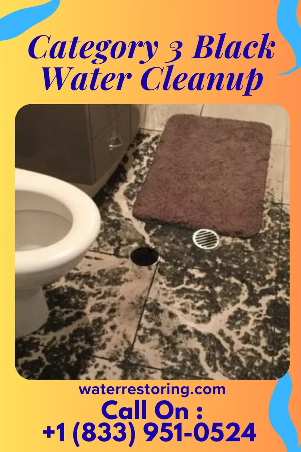 Category 3 Black Water Cleanup in Lucas, IA