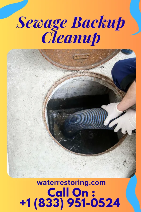 Sewage Backup Cleanup in Lucas, IA